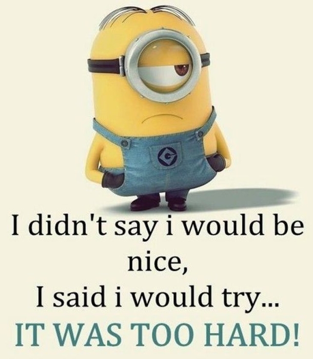 Funny & Clever Minion Quotes For The Week - picture 3