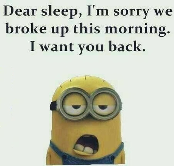 Funny & Clever Minion Quotes For The Week - picture 7