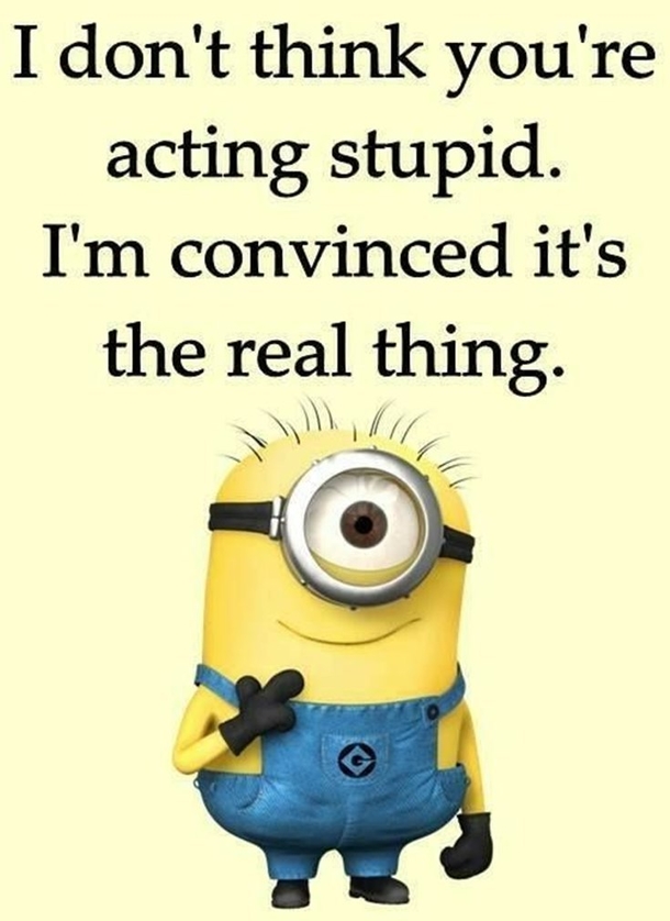 Funny & Clever Minion Quotes For The Week - picture 8