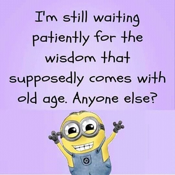 Funny & Clever Minion Quotes For The Week - picture 9