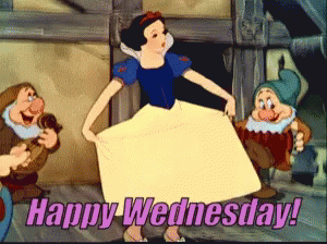 Funny & Silly Wednesday Gifs To Get You Through The Day - picture 11