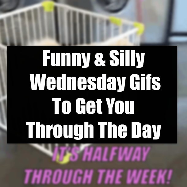 Funny & Silly Wednesday Gifs To Get You Through The Day
