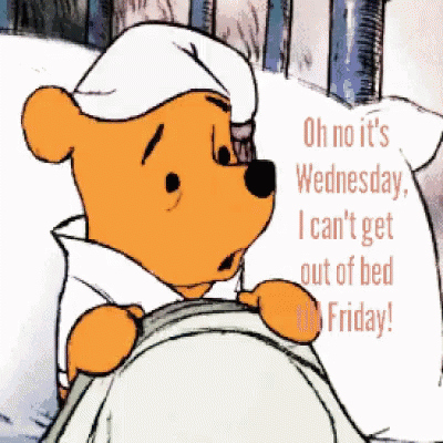 Funny & Silly Wednesday Gifs To Get You Through The Day - picture 8