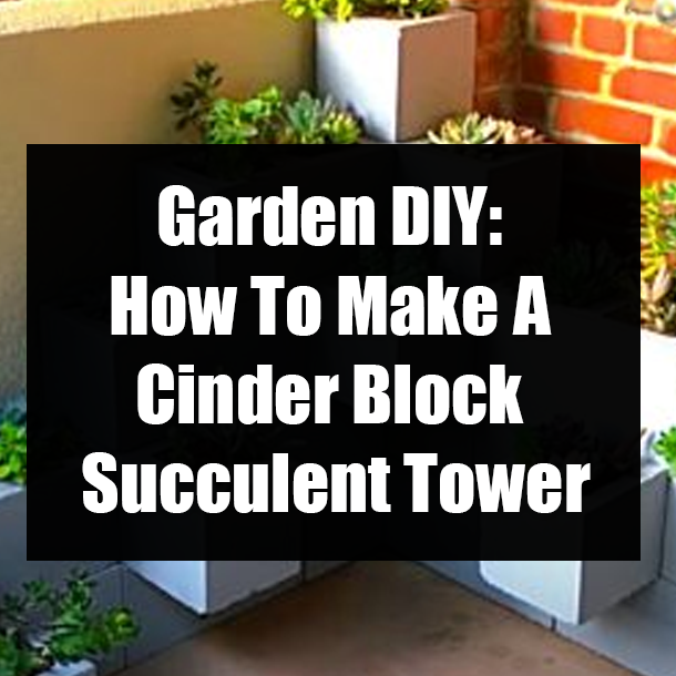 Garden DIY: How To Make A Cinder Block Succulent Tower