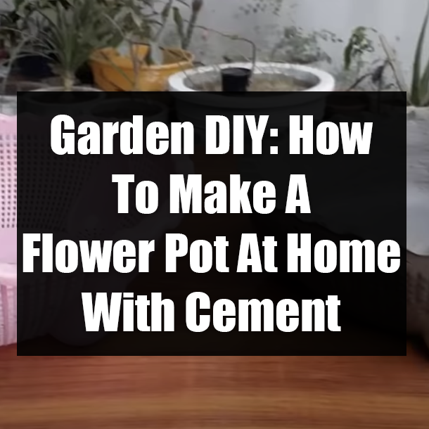 Garden DIY: How To Make A Flower Pot At Home With Cement