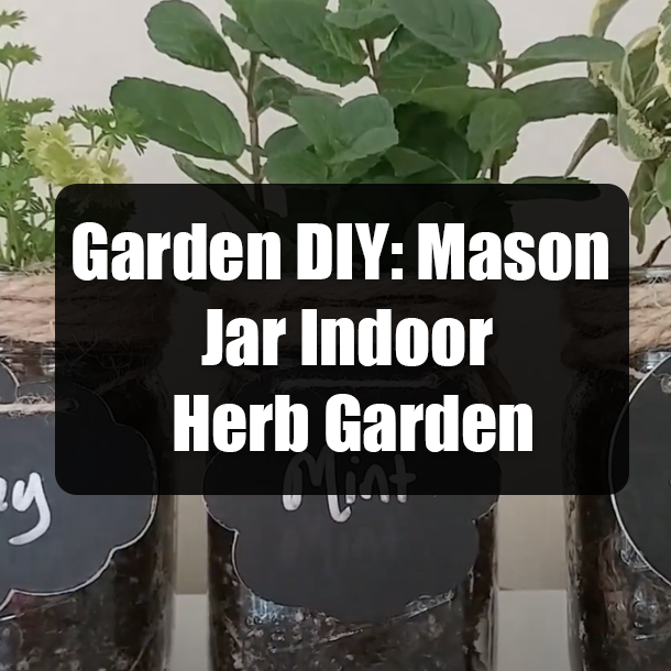 Garden DIY: Mason Jar Indoor Herb Garden