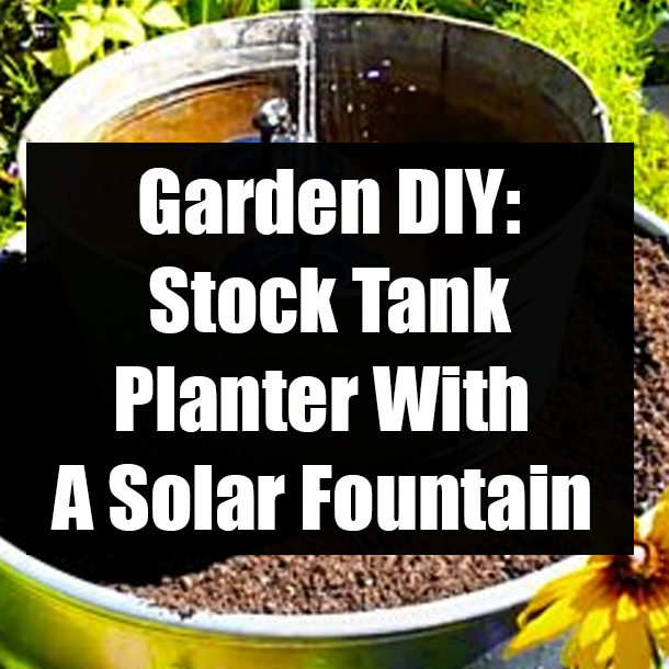 Garden DIY: Stock Tank Planter With A Solar Fountain