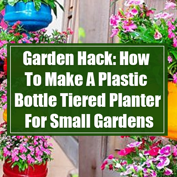 Garden Hack: How To Make A Plastic Bottle Tiered Planter For Small Gardens