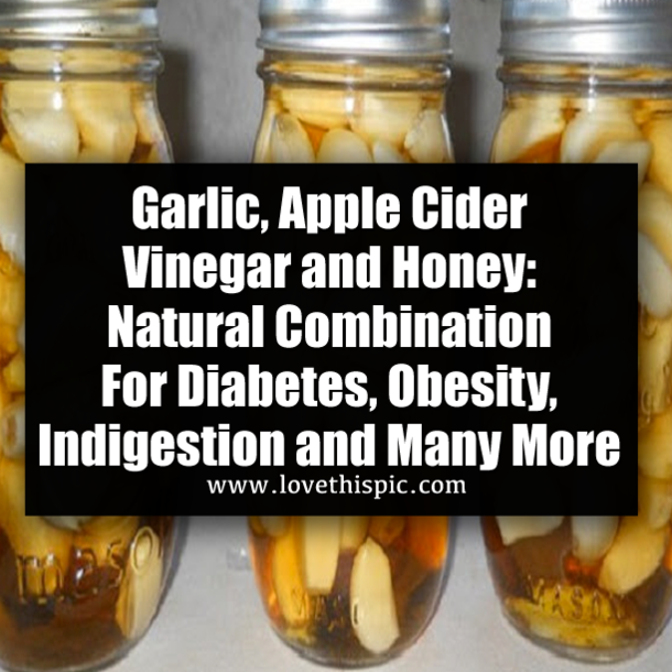 Garlic, Apple Cider Vinegar and Honey: Natural Combination For Diabetes, Obesity, Indigestion and Many More