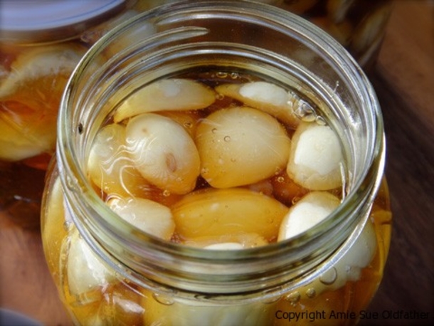 Garlic, Apple Cider Vinegar and Honey: Natural Combination For Diabetes, Obesity, Indigestion and Many More - picture 4
