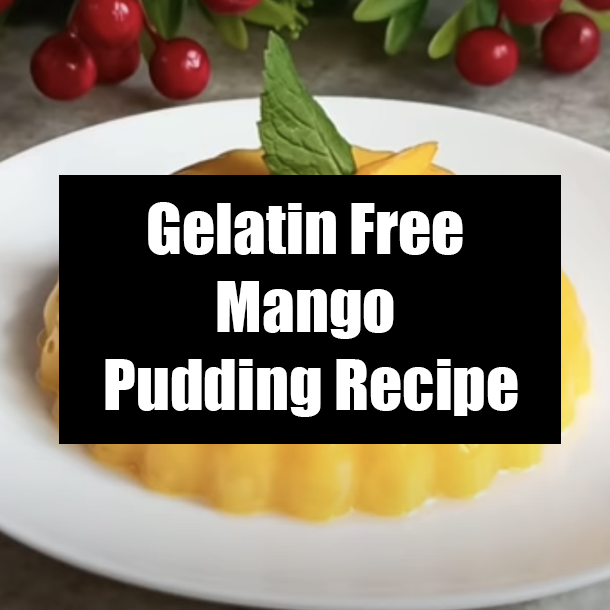Gelatin Free Mango Pudding Recipe