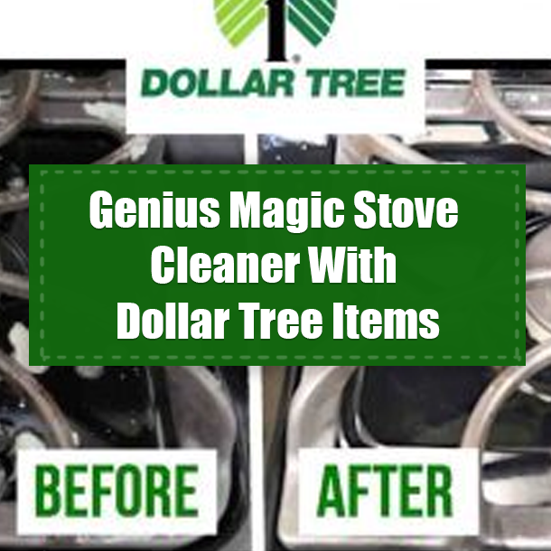 Genius Magic Stove Cleaner With Dollar Tree Items