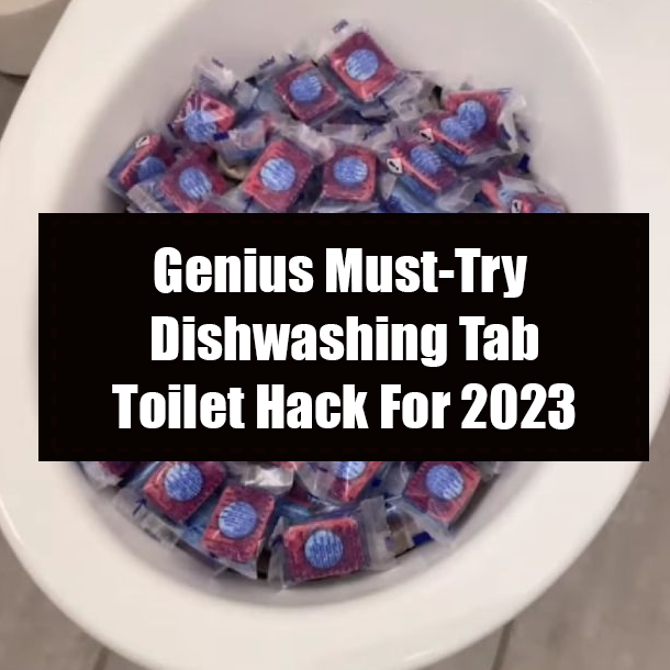 Genius Must-Try Dishwashing Tab Toilet Hack For 2023