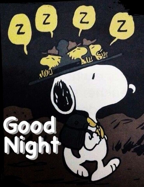 Get Cozy with These 10 Snoopy-Inspired Good Night Quotes! - picture 10