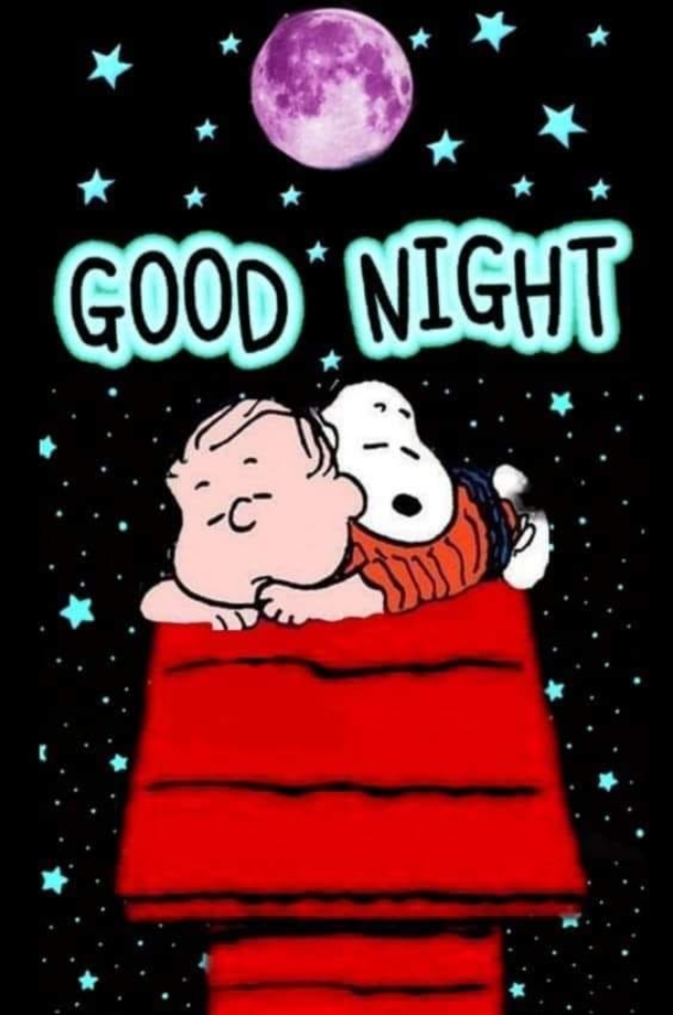 Get Cozy with These 10 Snoopy-Inspired Good Night Quotes! - picture 11