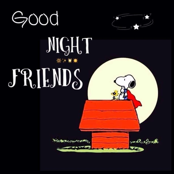 Get Cozy with These 10 Snoopy-Inspired Good Night Quotes! - picture 4