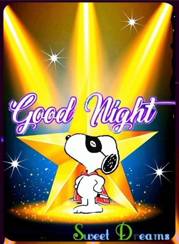 Get Cozy with These 10 Snoopy-Inspired Good Night Quotes! - picture 7