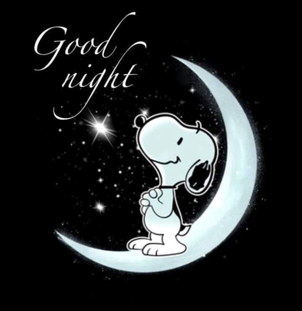 Get Cozy with These 10 Snoopy-Inspired Good Night Quotes! - picture 9