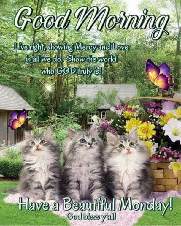 Get Ready for a Fresh Start: 10 Monday Quotes to Kickstart Your Week - picture 6