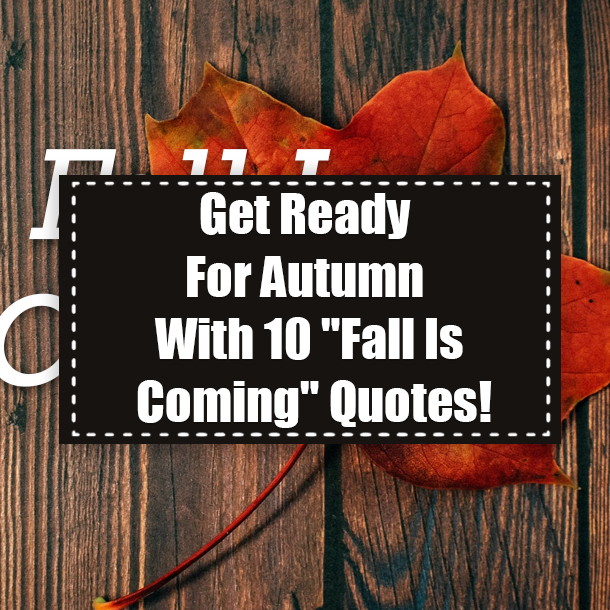 Get Ready For Autumn With 10 "Fall Is Coming" Quotes!
