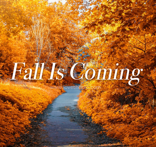 Get Ready For Autumn With 10 "Fall Is Coming" Quotes! - picture 10