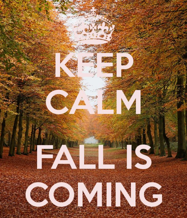 Get Ready For Autumn With 10 "Fall Is Coming" Quotes! - picture 3