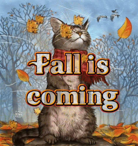 Get Ready For Autumn With 10 "Fall Is Coming" Quotes! - picture 4