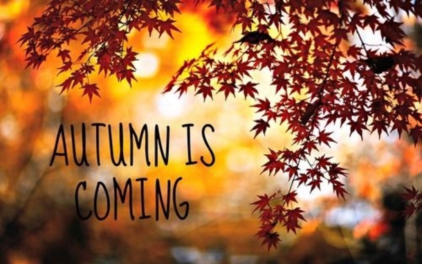 Get Ready For Autumn With 10 "Fall Is Coming" Quotes! - picture 6