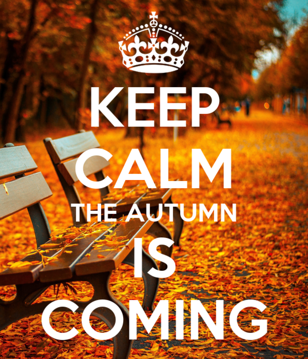 Get Ready For Autumn With 10 "Fall Is Coming" Quotes! - picture 8