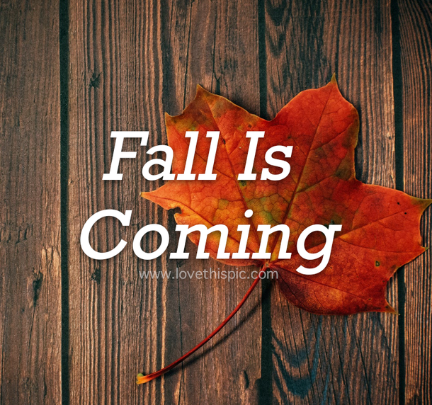 Get Ready For Autumn With 10 "Fall Is Coming" Quotes! - picture 9