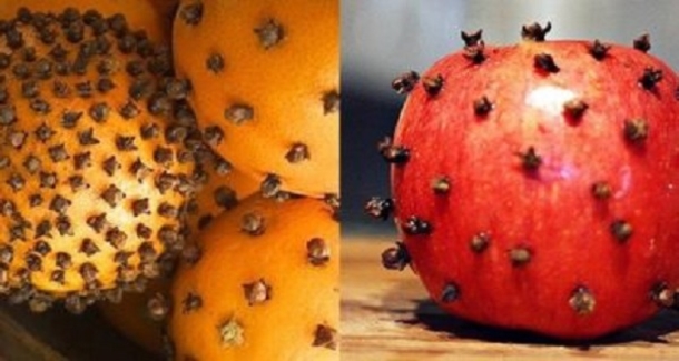 Get Rid Of Flies Forever With This One Simple Trick - picture 2