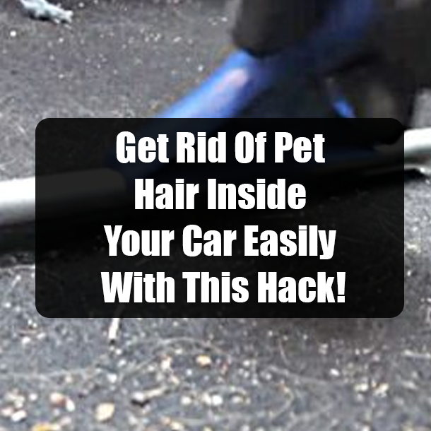 Get Rid Of Pet Hair Inside Your Car Easily With This Hack!