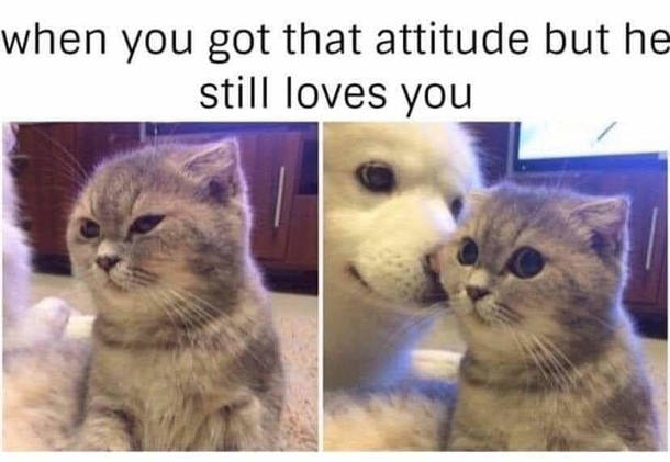 Get Your Daily Dose of Relationship Humor With These 10 Memes! - picture 10