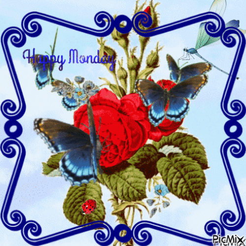 GIF Your Monday: Beautiful Happy Monday Animated Gifs - picture 10