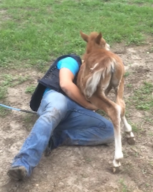 Girl Runs Into Field To Play With Baby Horse. It Shocks Her With An Action She Never Expected! - picture 3