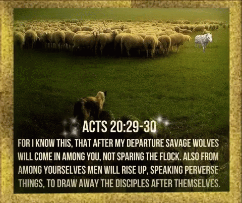Glorious Bible Quotes Of The Day - picture 3