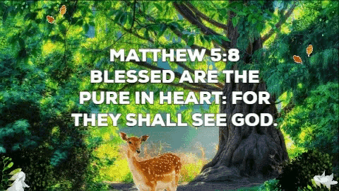 Glorious Bible Quotes Of The Day - picture 6