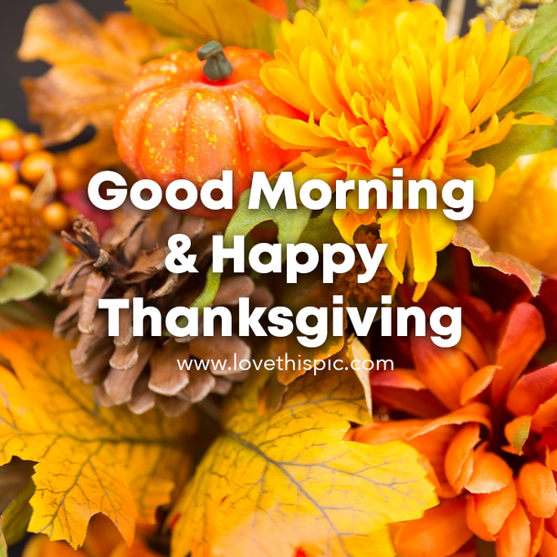 Good Morning and Gratitude: 10 Thanksgiving 2023 Morning Quotes to Start Your Day Right - picture 10