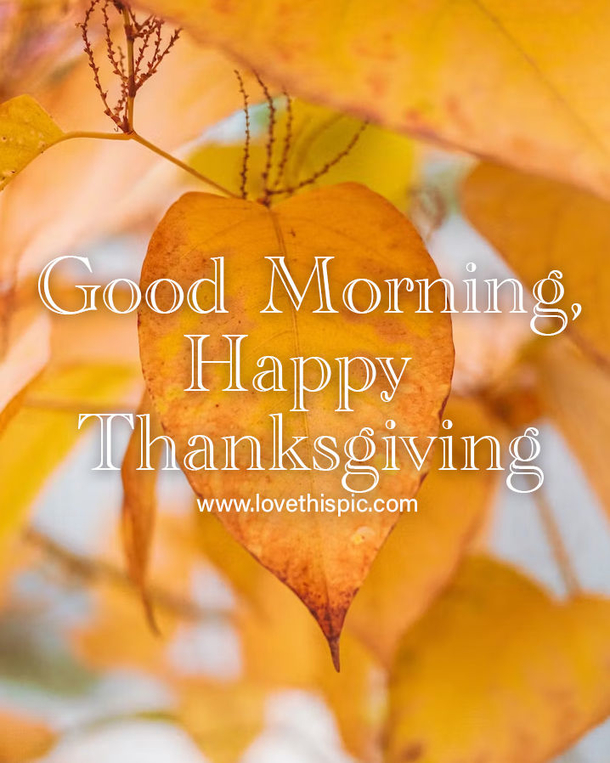 Good Morning and Gratitude: 10 Thanksgiving 2023 Morning Quotes to Start Your Day Right - picture 5