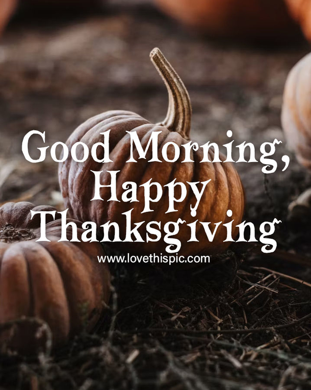 Good Morning and Gratitude: 10 Thanksgiving 2023 Morning Quotes to Start Your Day Right - picture 8