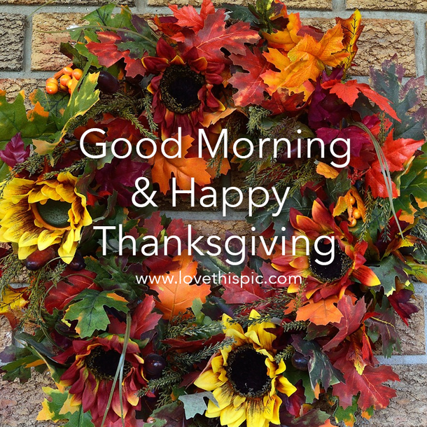 Good Morning and Gratitude: 10 Thanksgiving 2023 Morning Quotes to Start Your Day Right - picture 9