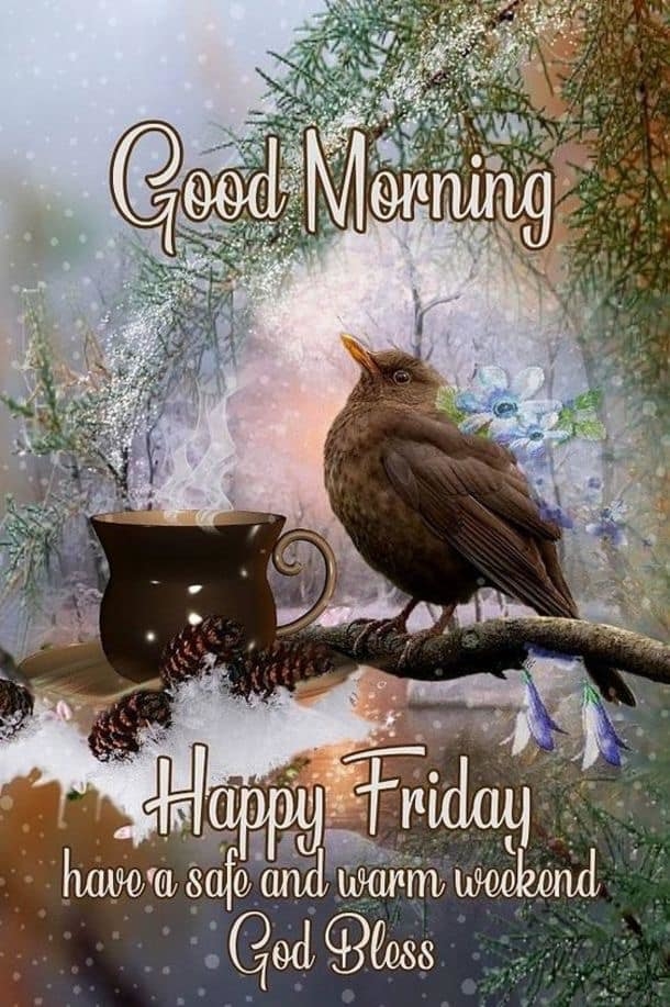 Good Morning! Enjoy These 10 Friday Morning Quotes To Start The Weekend - picture 7