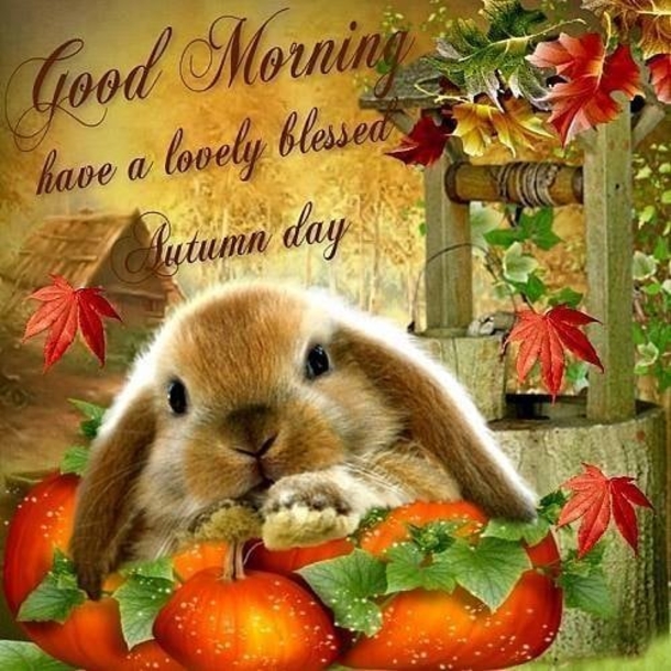 Good Morning Fall Quotes, Sayings And Quotes For 2022 - picture 5