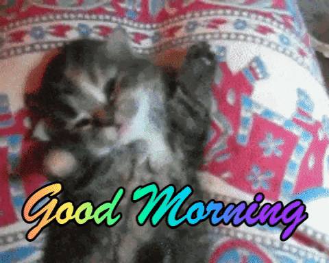 Good Morning Gifs With Images You Will Love - picture 5