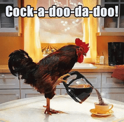 Good Morning Gifs With Images You Will Love - picture 6