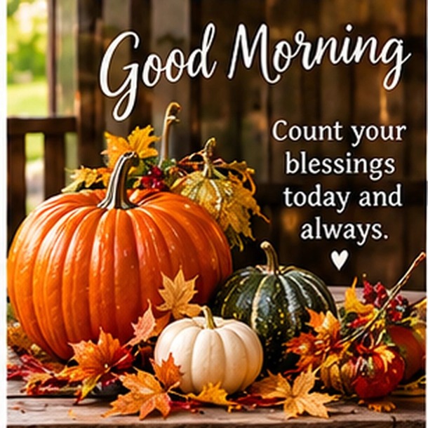 Good Morning Happy Thanksgiving Wishes, Blessings and GIFs - picture 18