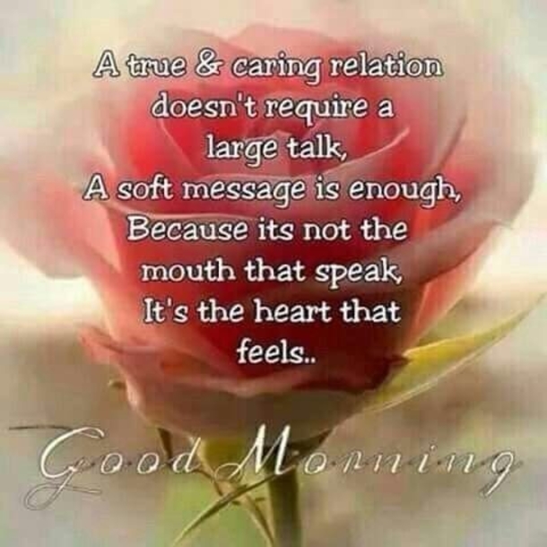 Good Morning Inspirational Quotes & Sayings - picture 10