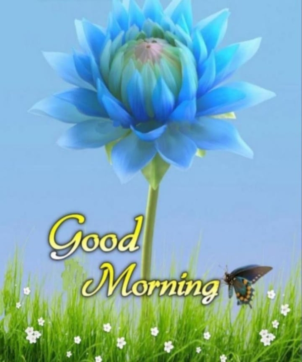 Good Morning Quotes That Will Motivate and Inspire Your Day - picture 11