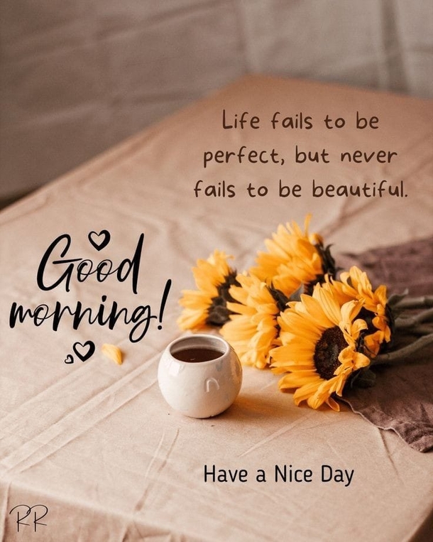 Good Morning Quotes That Will Motivate and Inspire Your Day - picture 5