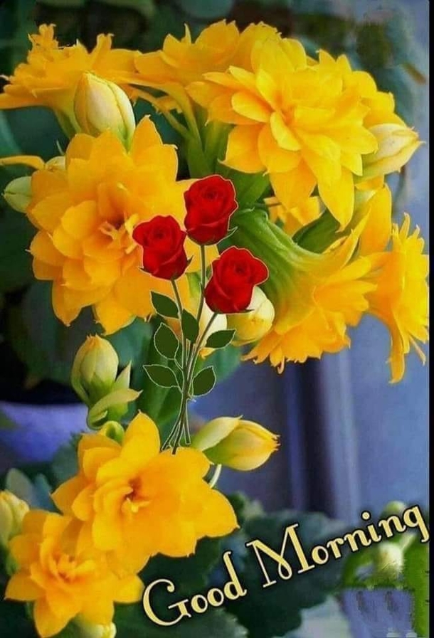 Good Morning Quotes That Will Motivate and Inspire Your Day - picture 6